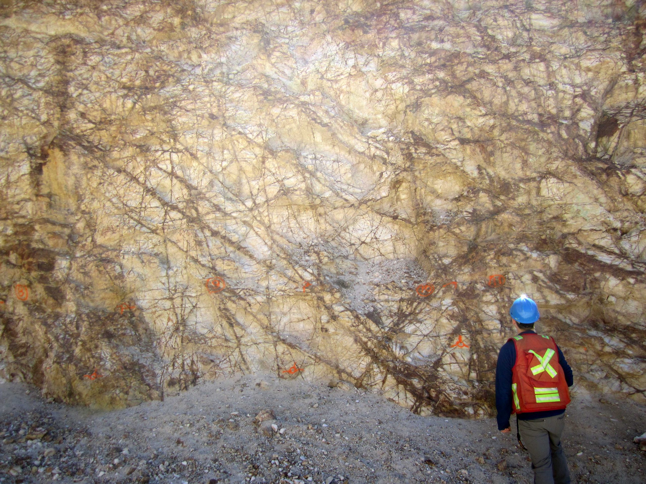 Mineral Park – APEX Geoscience Ltd.