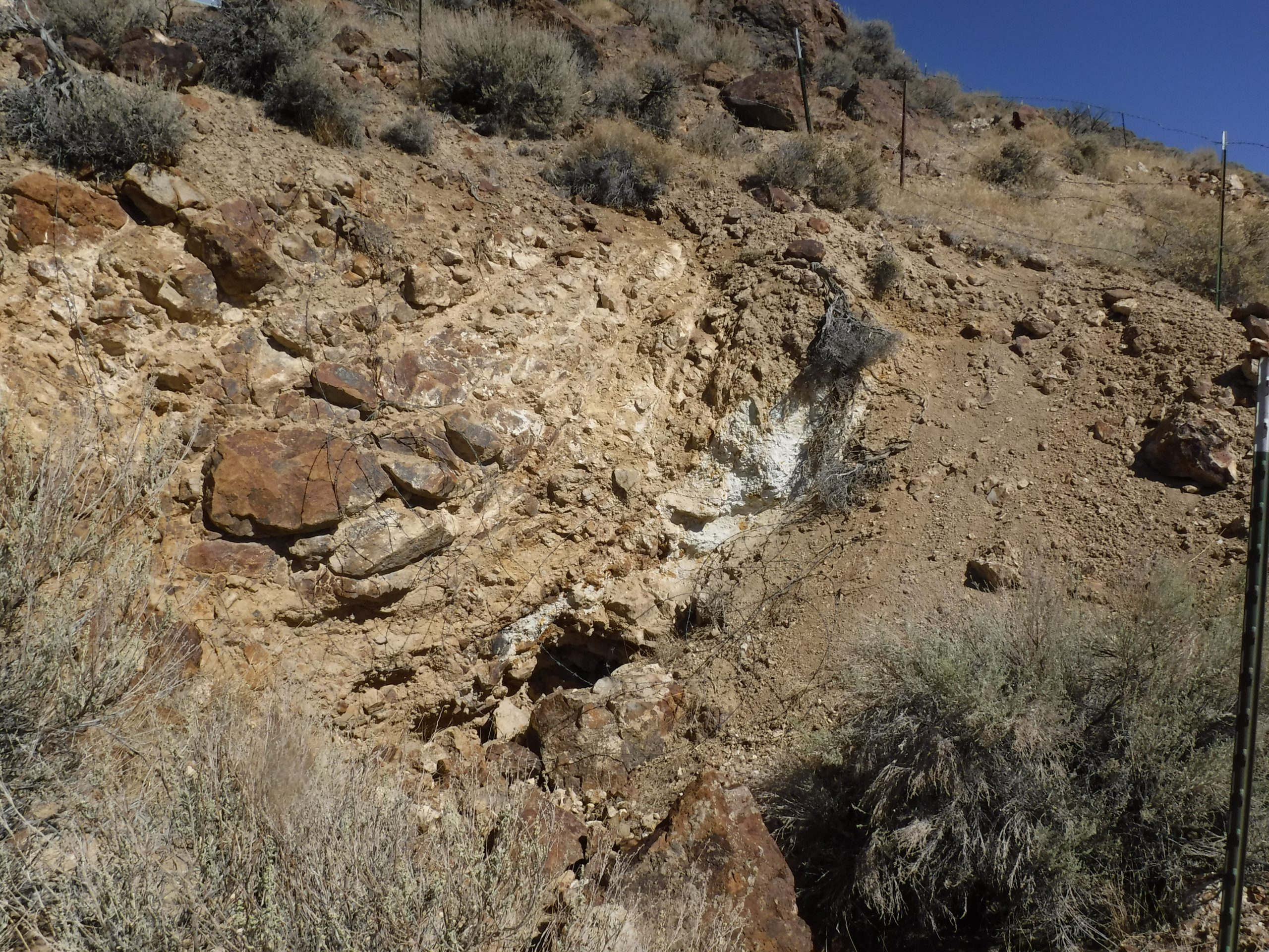 Cold Springs APEX Geoscience Ltd.