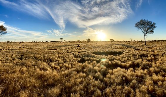 Arunta West Pano