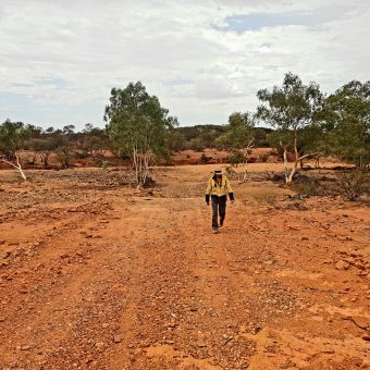 Marymia Western Australia