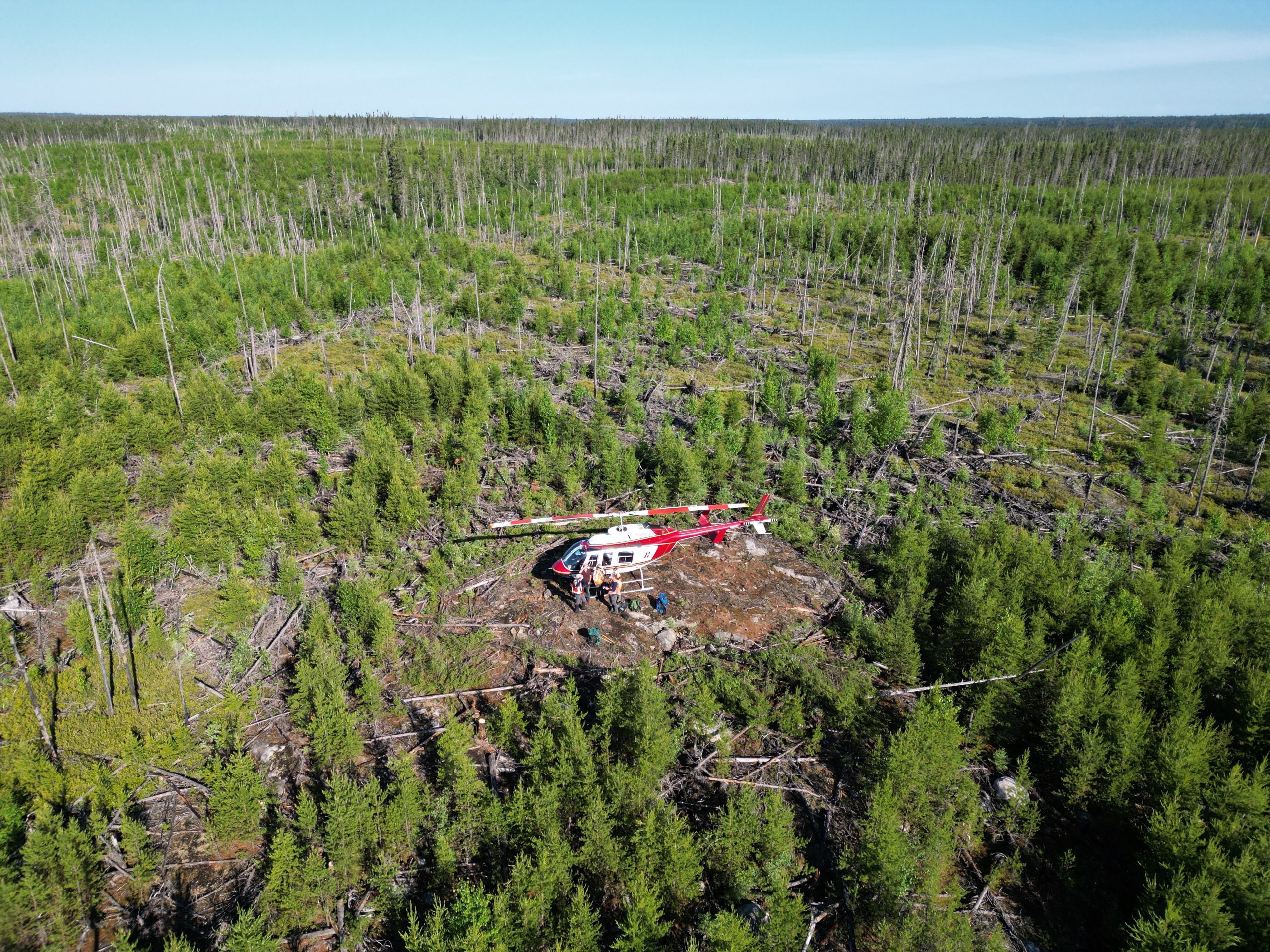 Staples Canada Head Office Complaints